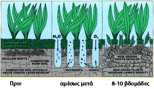 Αερισμός Χλοοτάπητα